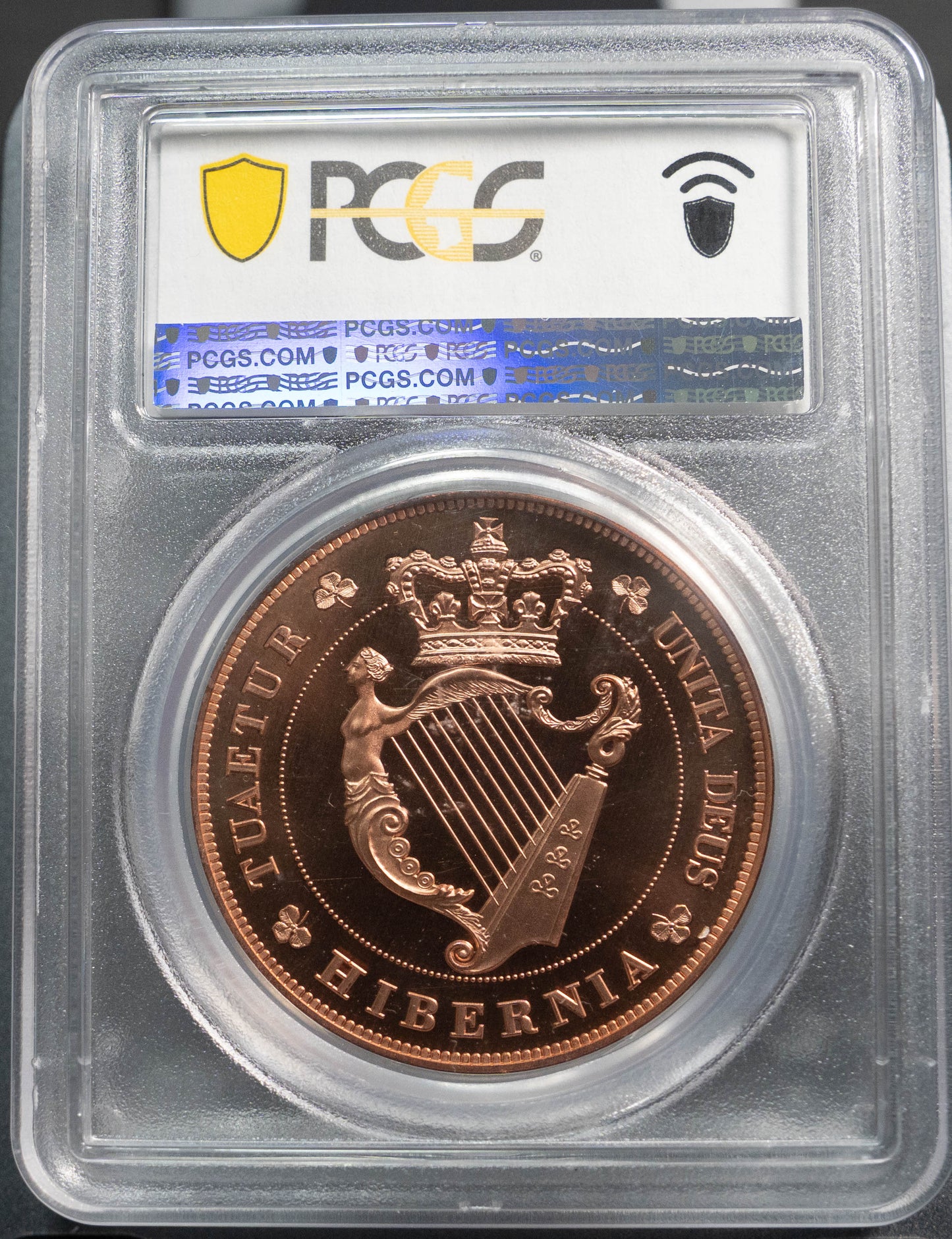 1851 アイルランド INA 銅貨 PCGS PR67RD ゴシッククラウン