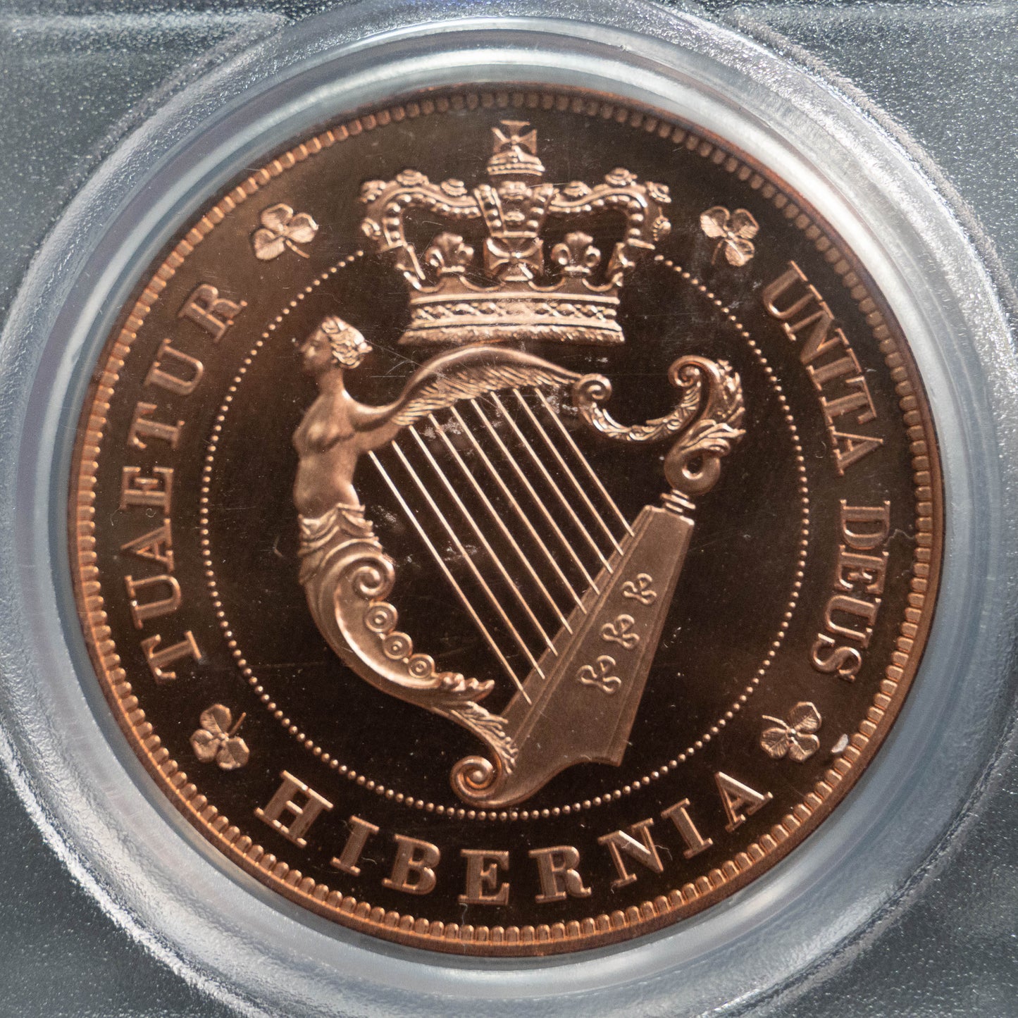 1851 アイルランド INA 銅貨 PCGS PR67RD ゴシッククラウン
